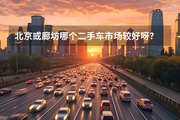 北京或廊坊哪个二手车市场较好呀？