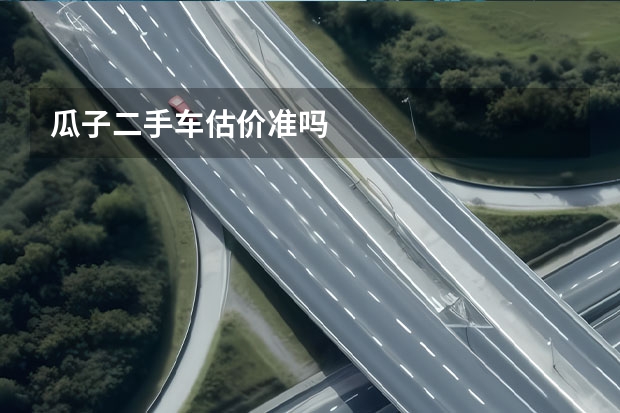 瓜子二手车估价准吗
