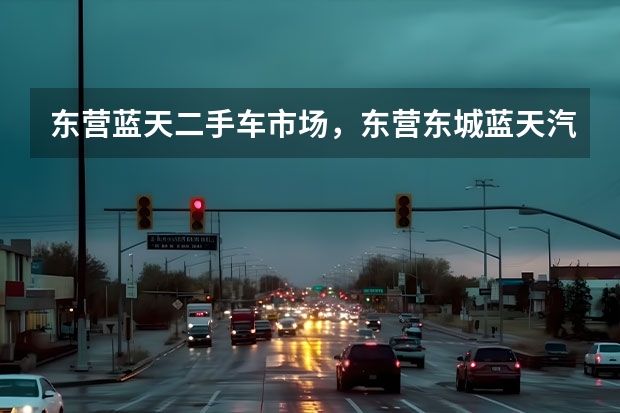 东营蓝天二手车市场，东营东城蓝天汽车城有什么车啊信誉怎么样和一般4s店相比有什么