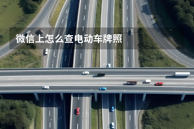 微信上怎么查电动车牌照