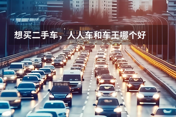 想买二手车，人人车和车王哪个好