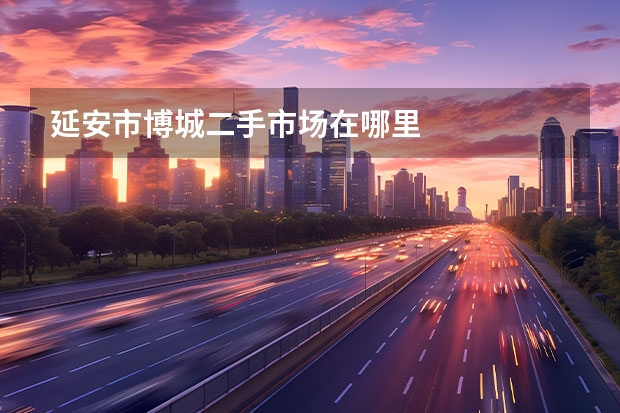 延安市博城二手市场在哪里