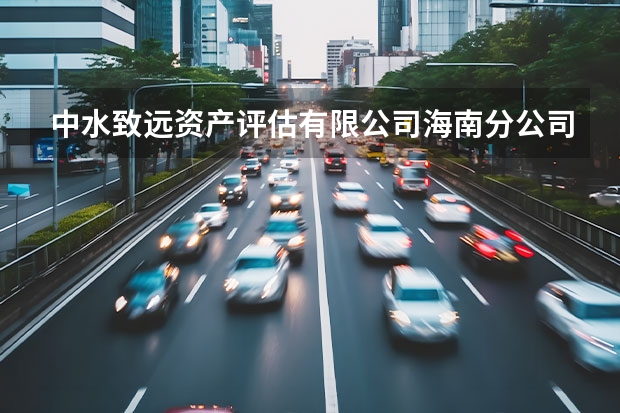 中水致远资产评估有限公司海南分公司怎么样？
