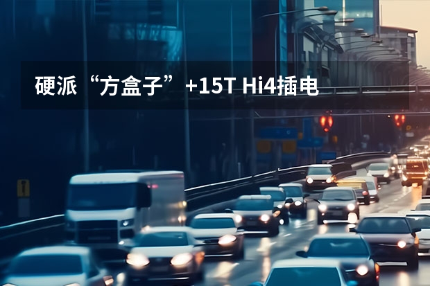 硬派“方盒子”+1.5T Hi4插电混动，哈弗猛龙如何？