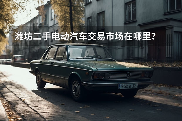 潍坊二手电动汽车交易市场在哪里？