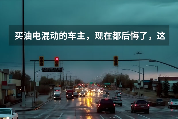 买油电混动的车主，现在都后悔了，这是为什么？