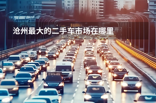 沧州最大的二手车市场在哪里