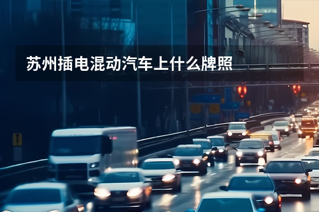 苏州插电混动汽车上什么牌照