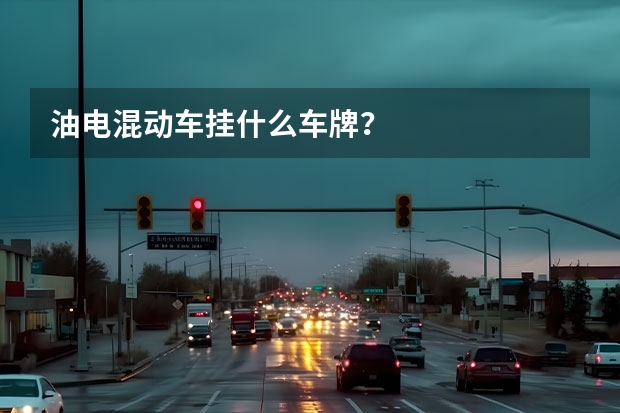 油电混动车挂什么车牌？