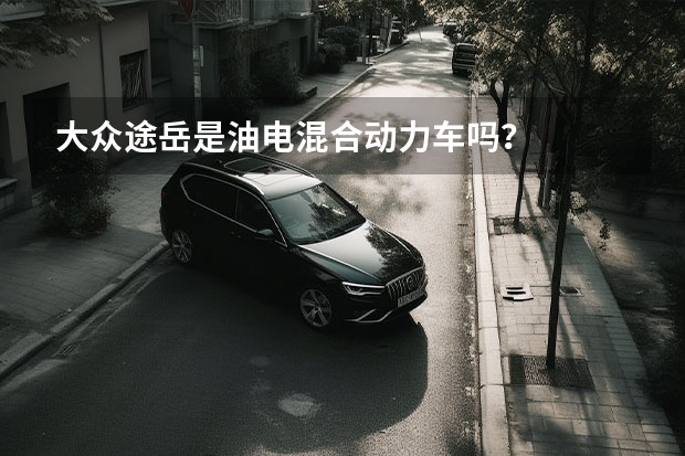 大众途岳是油电混合动力车吗？