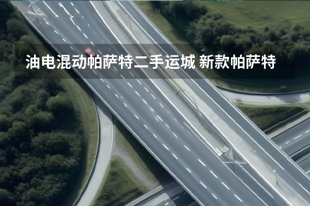 油电混动帕萨特二手运城 新款帕萨特油电混动的价格