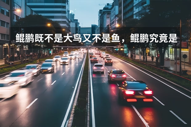 鲲鹏既不是大鸟又不是鱼，鲲鹏究竟是什么动物？