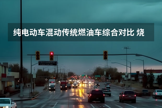 纯电动车/混动/传统燃油车综合对比 烧油的电动车