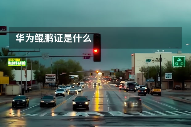 华为鲲鹏证是什么