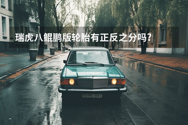 瑞虎八鲲鹏版轮胎有正反之分吗?