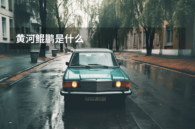 黄河鲲鹏是什么