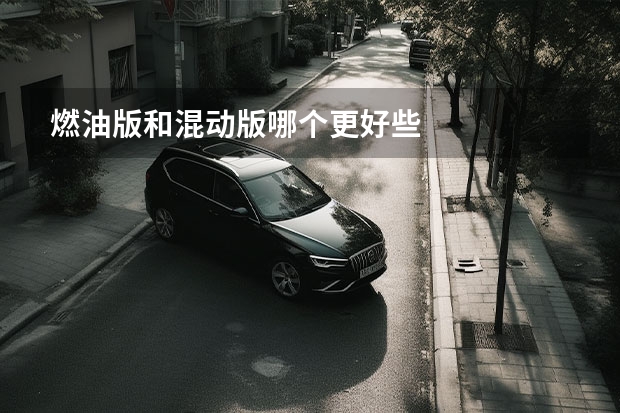 燃油版和混动版哪个更好些