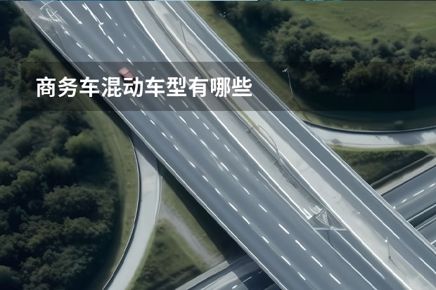 商务车混动车型有哪些