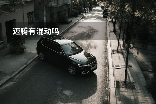 迈腾有混动吗