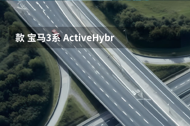 款 宝马3系 ActiveHybrid 3 混动 混合动力 3万公里保养项目多少钱