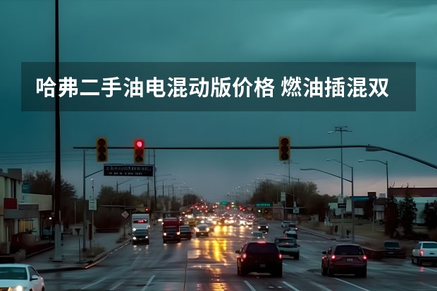 哈弗二手油电混动版价格 燃油插混双动力，哈弗第二代大狗13.58万元起