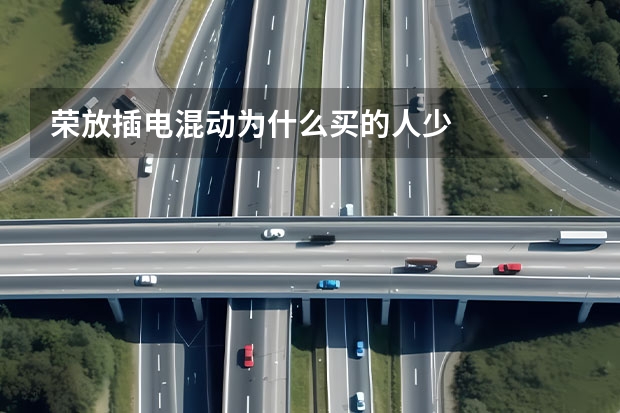 荣放插电混动为什么买的人少