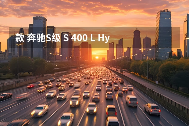 款 奔驰S级 S 400 L Hybrid 混动 11万公里保养项目多少钱