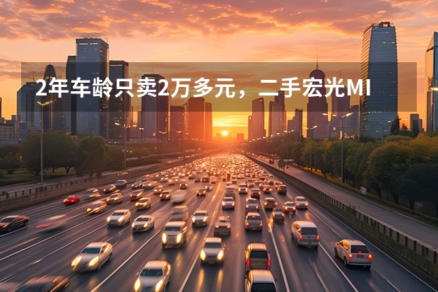 2年车龄只卖2万多元，二手宏光MINIEV比新车更值？（2万以下新能源电动汽车）