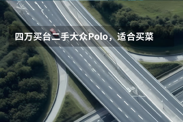 四万买台二手大众Polo，适合买菜吗？