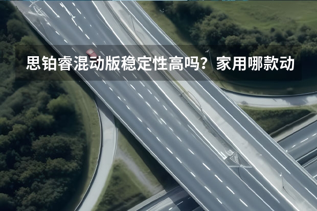 思铂睿混动版稳定性高吗？家用哪款动力配置合适？