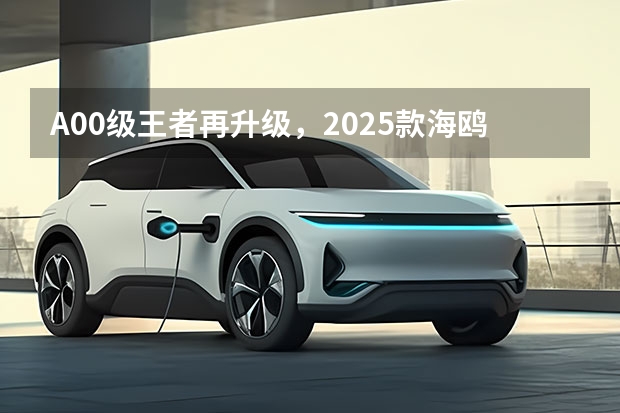 A00级王者再升级，2025款海鸥上市（深蓝汽车全新SUV深蓝S09申报图 预计2025年上半年发布）
