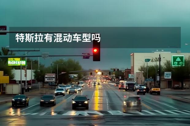 特斯拉有混动车型吗