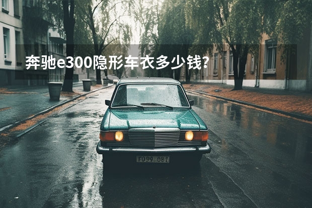 奔驰e300隐形车衣多少钱？