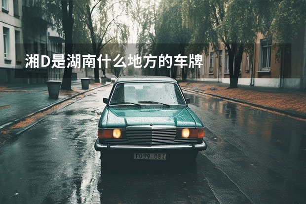 湘D是湖南什么地方的车牌