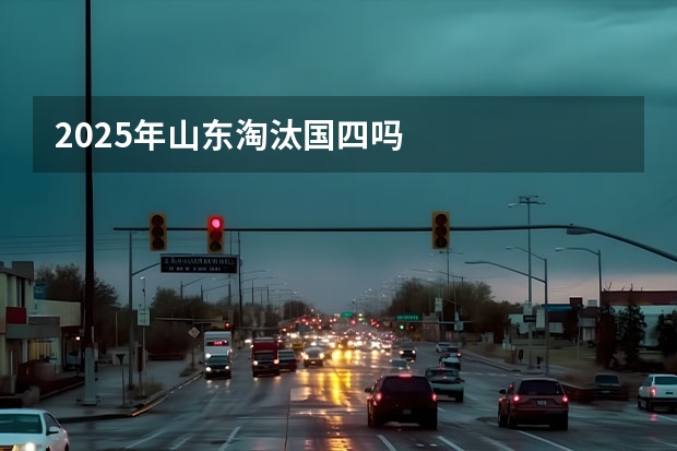 2025年山东淘汰国四吗