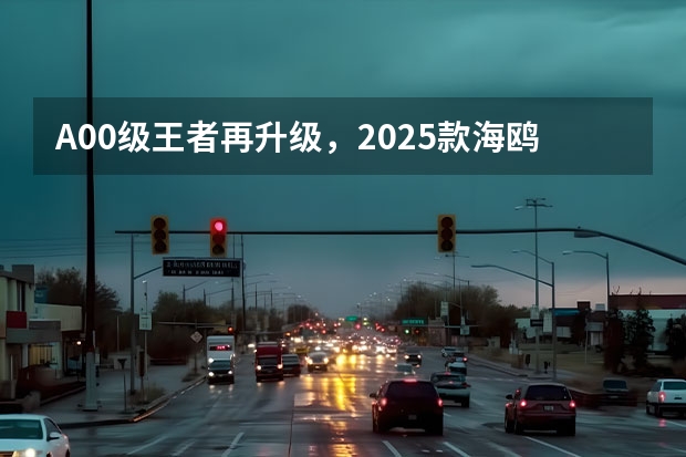 A00级王者再升级，2025款海鸥上市 东风风神：2024年100%电动化，2025年销量50万