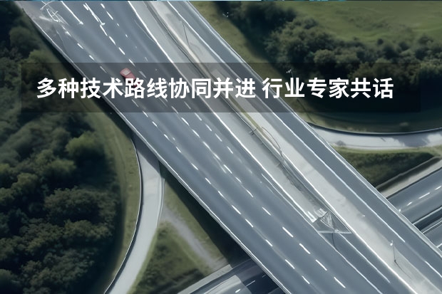 多种技术路线协同并进 行业专家共话中国汽车产业发展趋势（未来汽车先行者大会：CoEVO同步先行）