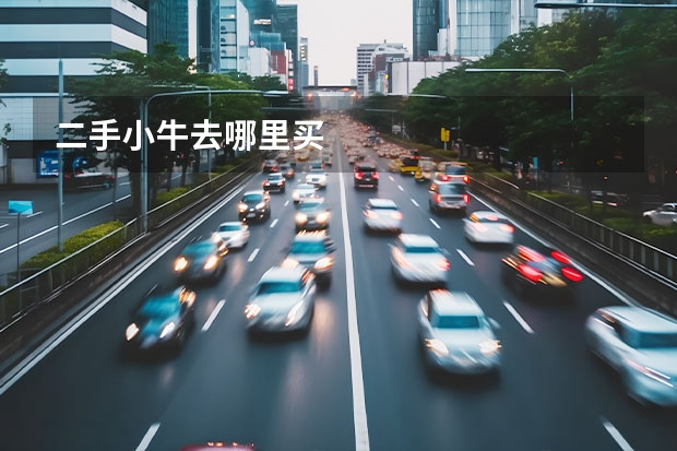 二手小牛去哪里买
