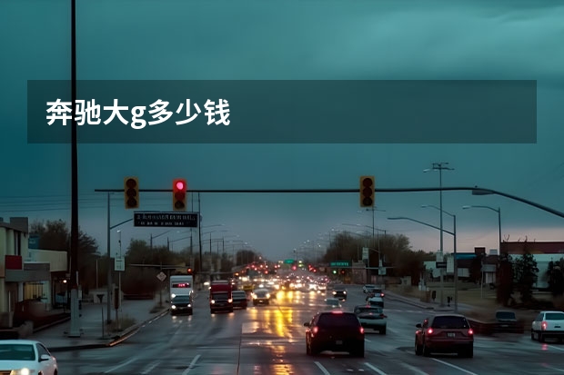 奔驰大g多少钱