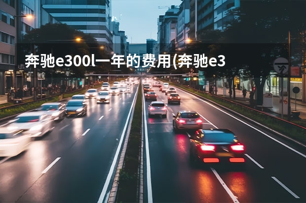 奔驰e300l一年的费用(奔驰e300月薪多少养得起)