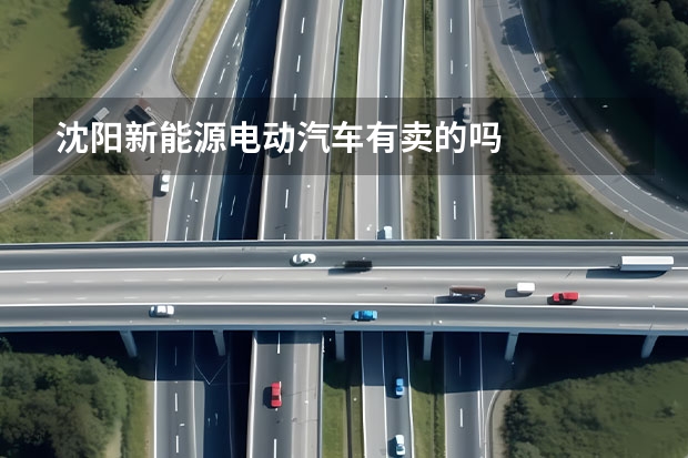 沈阳新能源电动汽车有卖的吗