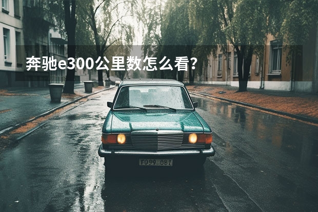 奔驰e300公里数怎么看？