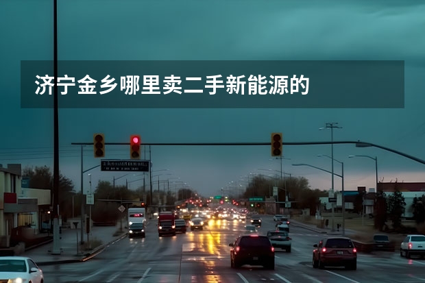 济宁金乡哪里卖二手新能源的