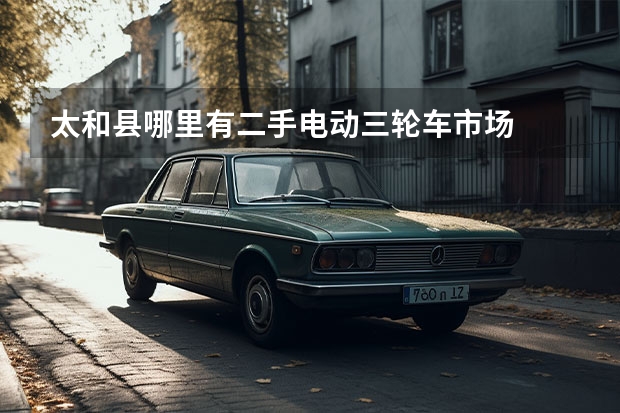 太和县哪里有二手电动三轮车市场