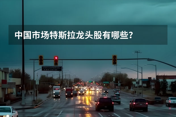 中国市场特斯拉龙头股有哪些？