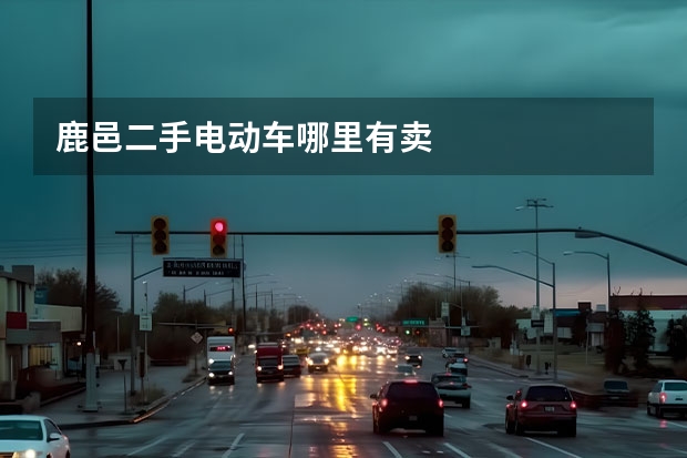 鹿邑二手电动车哪里有卖