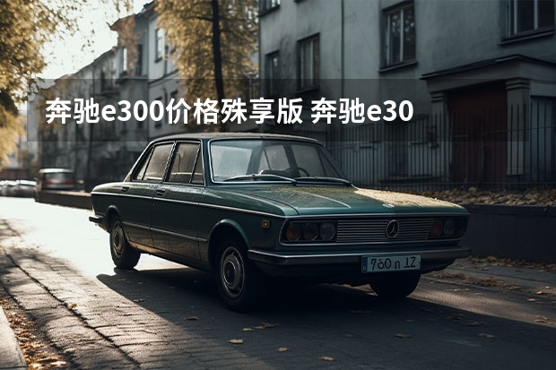 奔驰e300价格殊享版 奔驰e300l进气格栅是竖的
