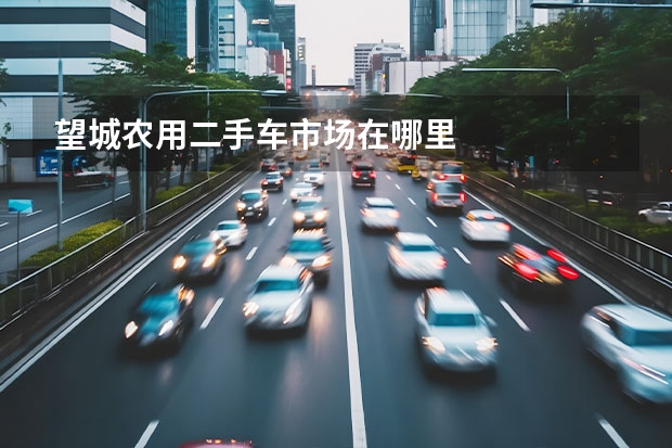 望城农用二手车市场在哪里