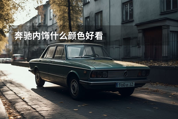 奔驰内饰什么颜色好看