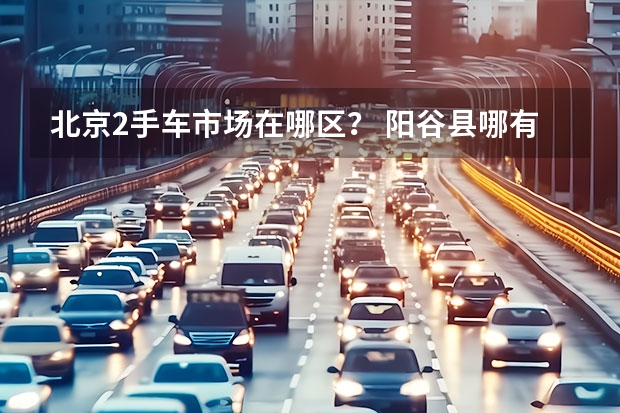 北京2手车市场在哪区？ 阳谷县哪有卖二手电动车市场的